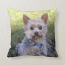 Buscar yorkie cojines Perrito