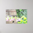 Buscar shabby lienzos Rosa