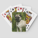 Buscar colocación barajas de cartas Fotógrafo canino