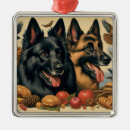 Buscar belga adornos Perros