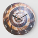 Buscar caracol relojes de pared Naturaleza