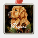 Buscar pinecone del perro Navidades