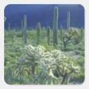 Buscar pipe pegatinas Paisaje