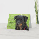 Buscar del rottweiler tarjetas General y unisex