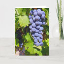 Buscar uvas tarjetas Fruta