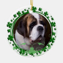 Buscar st patrick adornos Santo