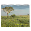Buscar vida calendarios Safari