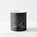 Buscar malinois belgas tazas Pastor belga