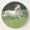 Buscar árabes posavasos Caballo