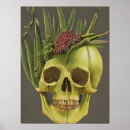 Buscar uvas verdes posters Plantas