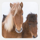 Buscar equus pegatinas Superstock