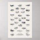 Buscar cetáceos posters Para todos