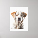 Buscar pet lienzos Canine