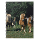 Buscar miniatura cuadernos Foto