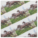 Buscar carrera de caballos telas General y unisex