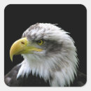 Buscar bald eagle pegatinas Día de la independencia