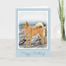 Buscar finlandés tarjetas Perro