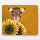 Buscar chihuahua alfombrillas de raton Flores