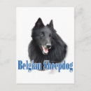 Buscar perro pastor postales Amante de perros