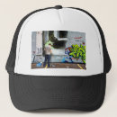 Buscar graffiti gorras Pintar