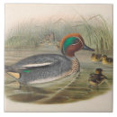 Buscar patos azulejos Vintage