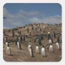 Buscar colonia pegatinas Isla