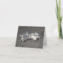 Buscar pigmento tarjetas 1 ᵉʳ explotación