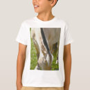 Buscar fjord ropa Fiordo