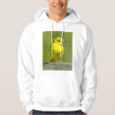 Buscar orioles sudaderas Pájaro