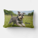 Buscar del schnauzer cojines General y unisex