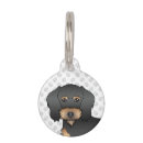 Buscar peludo mascotas Perro