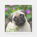 Buscar pug servilletas Adorable
