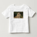 Buscar chiapas camisetas Maya