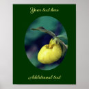 Buscar flor de orquídea posters Para ella