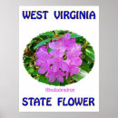 Buscar estado de virginia occidental posters Naturaleza