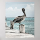 Buscar paseo posters Animales