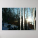 Buscar carámbanos fotografía Nieve