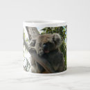 Buscar koala tazas Niños