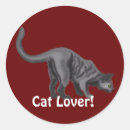 Buscar cat lover postales Humor