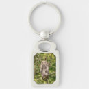 Buscar lechuza llaveros Naturaleza