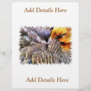 Buscar animales salvajes flyers Naturaleza