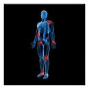 Buscar radiografía posters Médico