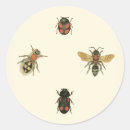 Buscar vision pegatinas Bordeado