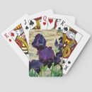 Buscar barbudo barajas de cartas Flor