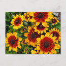 Buscar susans postales Jardín