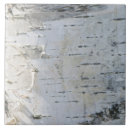 Buscar corteza de abedul azulejos Naturaleza