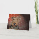 Buscar welsh tarjetas Inmoralidad