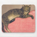 Buscar steinlen Amante del gato