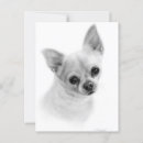 Buscar realista postales Amante del perro
