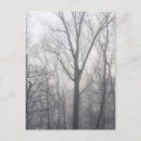 Buscar árboles en niebla postales Madera